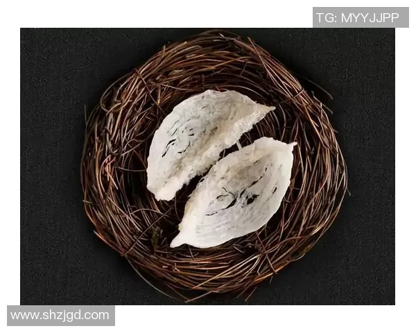 足球明星们的养生秘密:燕窝助力他们的巅峰表现与健康生活 足球明星们的养生秘密:燕窝助力他们的巅峰表现与健康生活