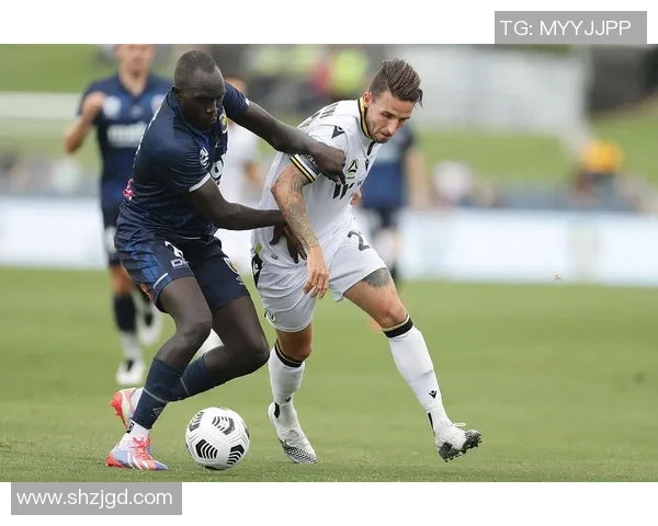 中央海岸与惠灵顿实力分析及对比探讨 中央海岸与惠灵顿实力分析及对比探讨